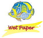 Wet Paper