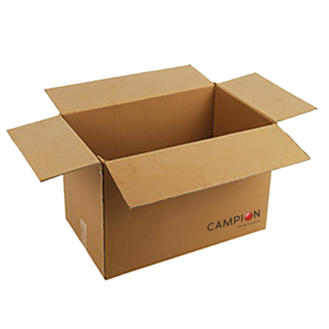 Camption-Carton-Example Camption-Carton-Example