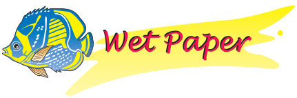 Wetpaper Logo